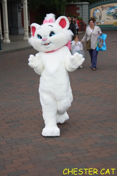 Les Aristochats à Disneyland Paris pour la St Valentin 2013 3007123943_1_3_Zgab7ZE5