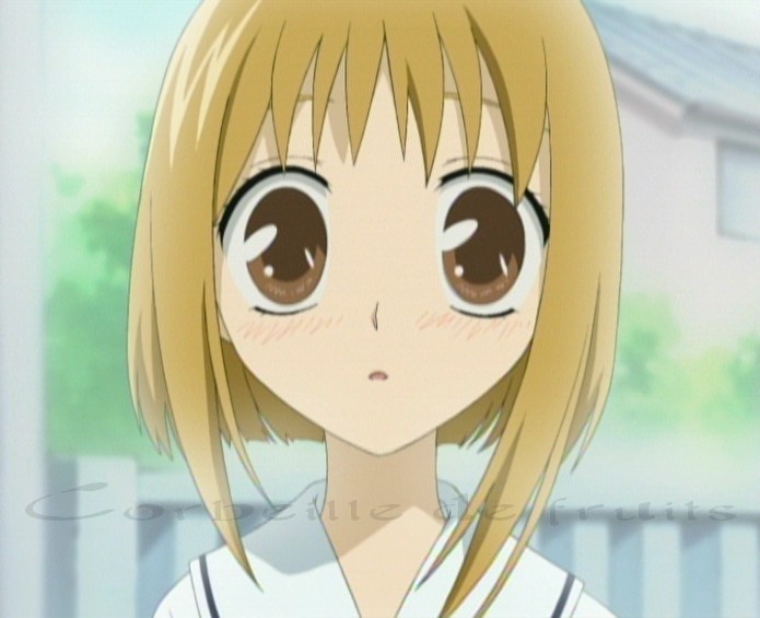 fruits baskets 035