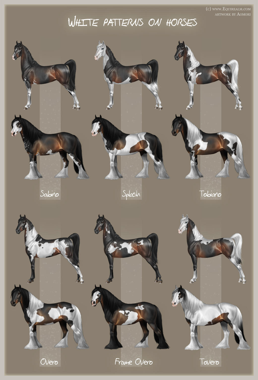 Tipos de caballo White_patterns_on_horses_by_aomori-d3fh1pf