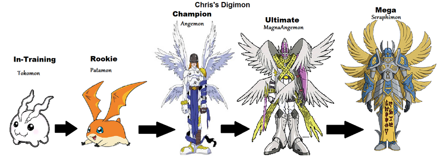 Pokémon VS Digimon - Page 2 Patamon__s_digivolution_chart_by_moonlighttalon-d4gkzgh
