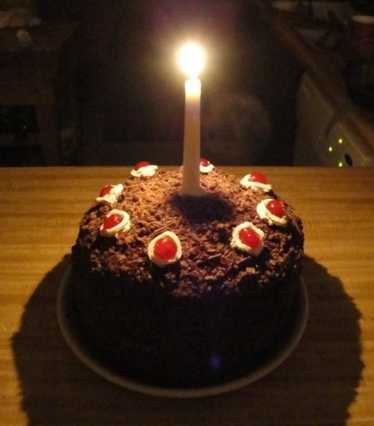 ¡Feliz cumpleaños Núcleo! Portal_cake_by_ryukuku