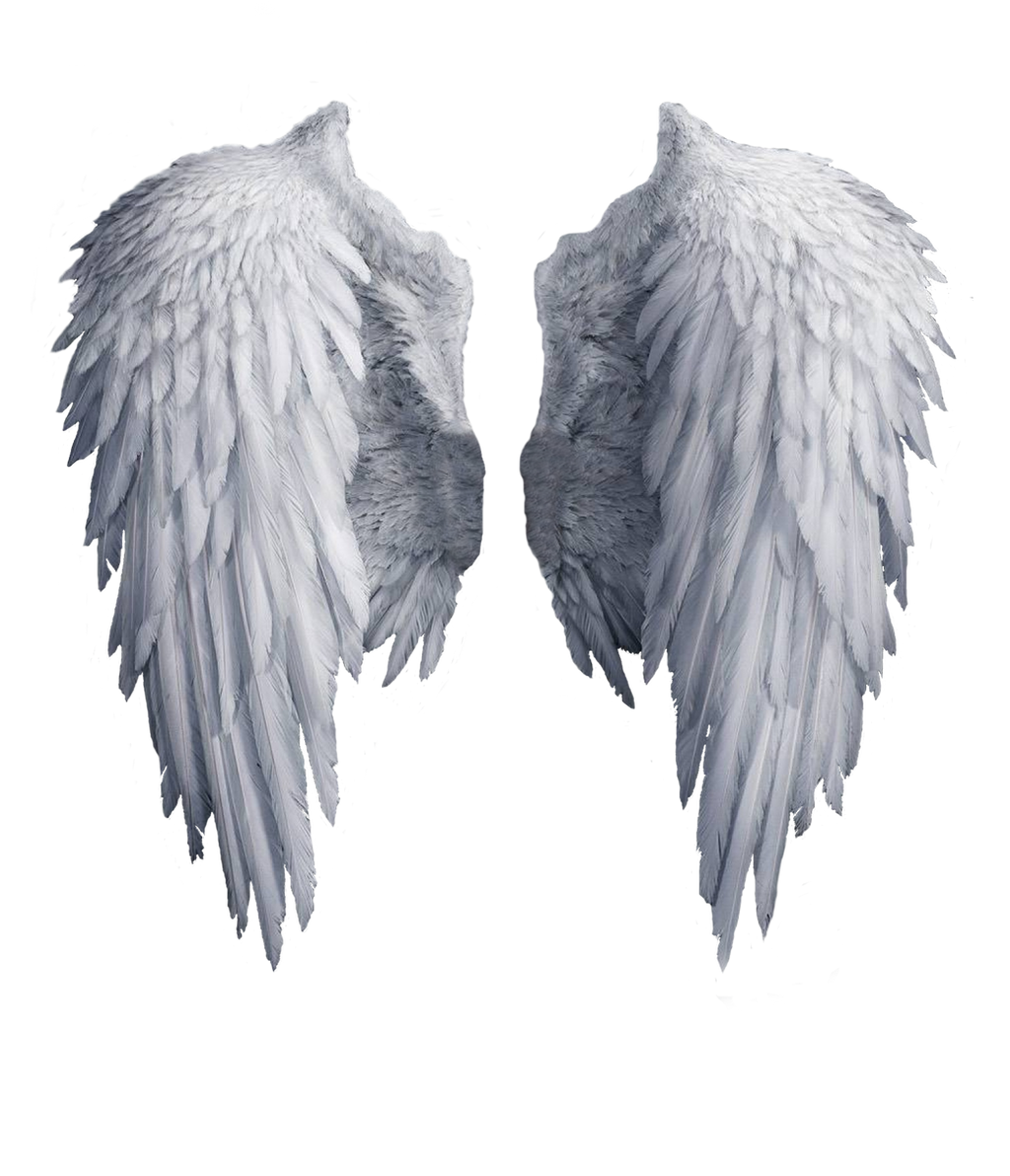 Alzando el vuelo Angel_wings_stock_png_by_shadow_of_nemo-d7j2t68