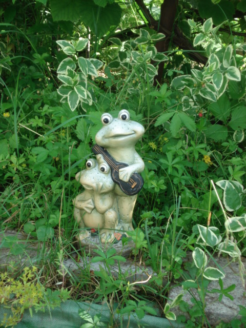 Vrtni patuljci... Garden_frog_by_animatorV