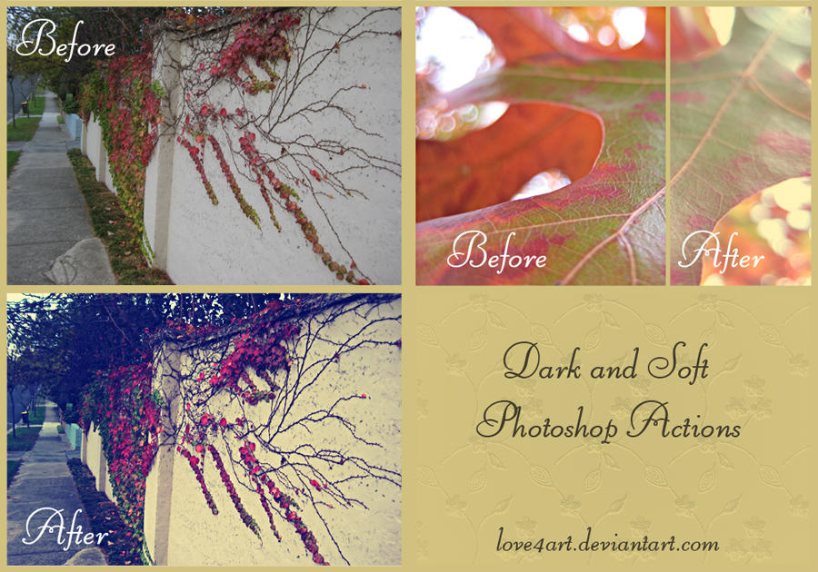 [Download]..::Vintage Actions::..  2_Vintage_Photoshop_Actions_by_love4art