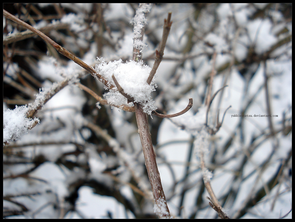Manon L. Photographie [20 Photos] Snow_2_by_YukkiexTetsu