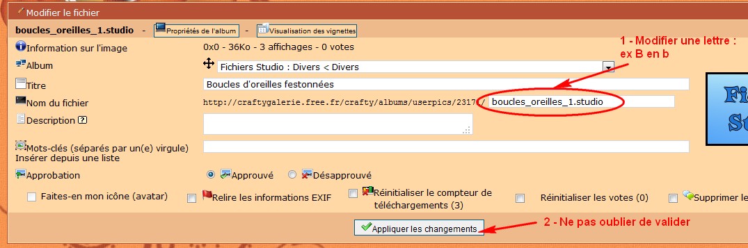 Réfléchir avant d'agir... ;o) - Page 2 ModifierNomGalerie_2