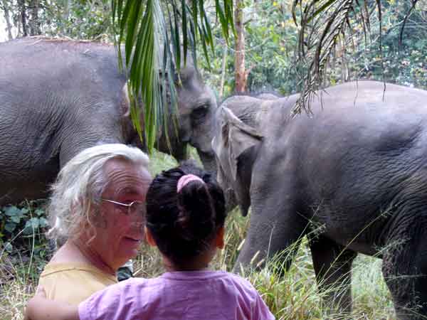 Un éléphant pour Noël Larrivee_ganeshapark