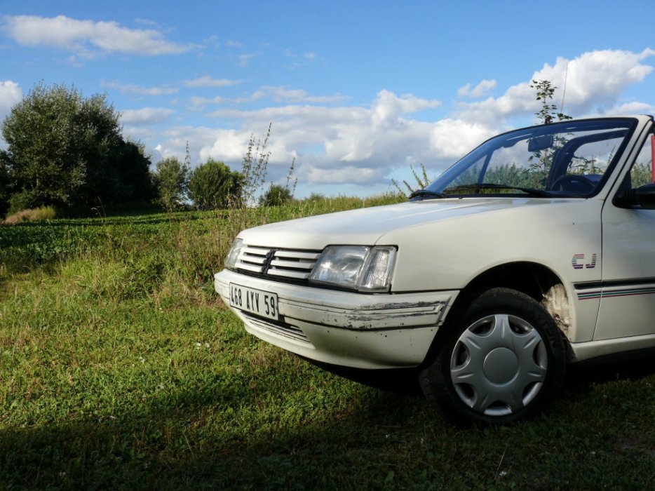 Ma Peugeot 205 CJ [ Compte tour monté ! ] - Page 2 3114932483_2_3_o0EhqD6Z