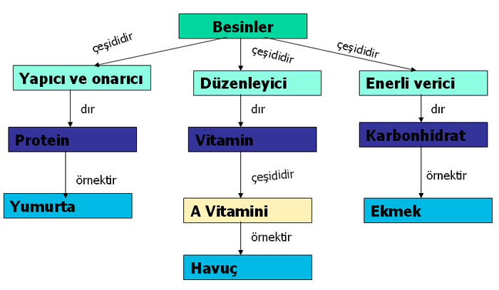 Besinlerin gereklilii ve dengeli beslenme 5sindengelibesleme