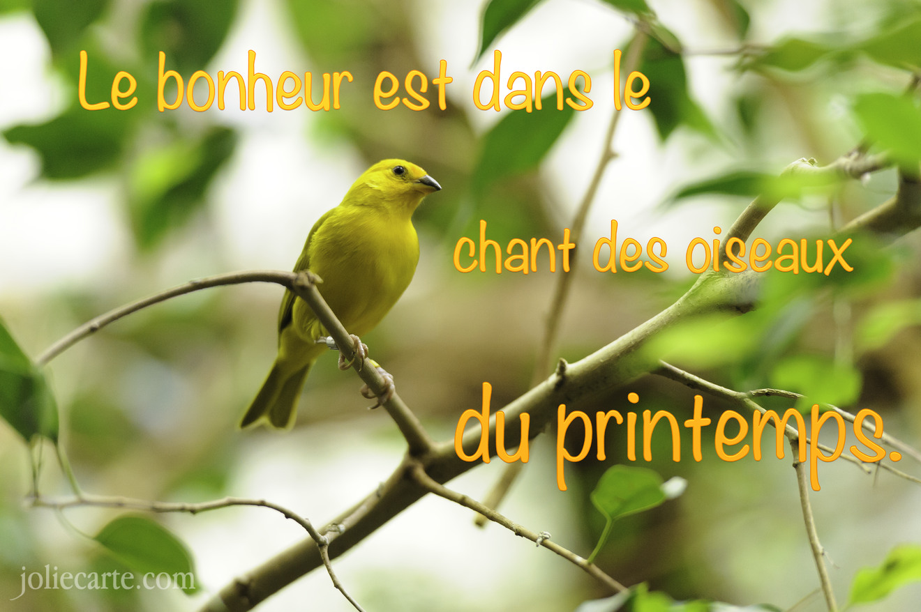 Nouvelles citations diverses Printemps-dicton