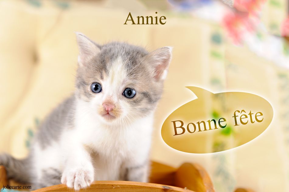 Mercredi 26 juillet Annie