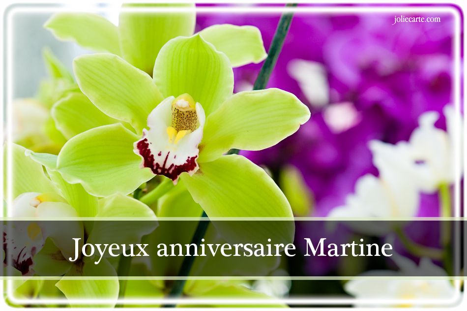 bonne fête Martine Martine