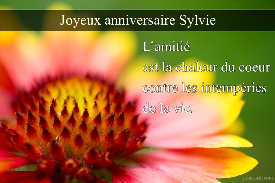 Lundi 18 septembre  Sylvie