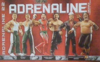 Adrenaline 22 (2007) 1246