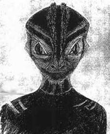 UFO Occupant Sketches / Non Human Reports. 43e7f0500b6b