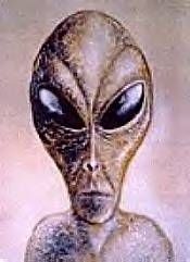UFO Occupant Sketches / Non Human Reports. B0cee64836e1