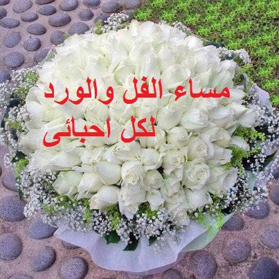 مساء الخير - صفحة 2 552244982