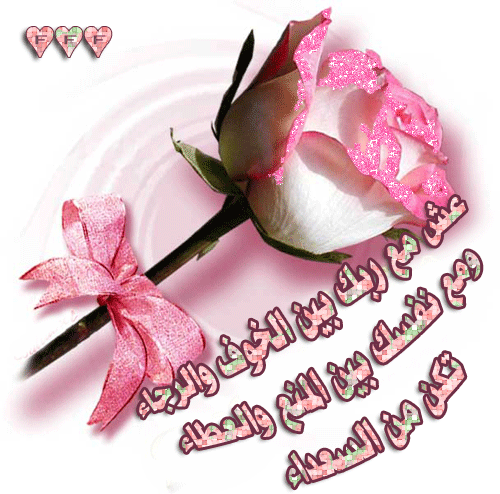 الحلقه الثانيه من سلسه =الكلمه=( الله ) للشيخ محمد حسان  1265586708