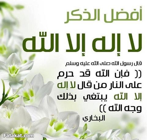 مواضيع يونيو المميزة 2012 - صفحة 2 Sigpic156644_3