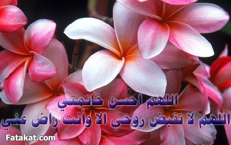 اللهم فرج عنا - صفحة 3 Sigpic326612_1