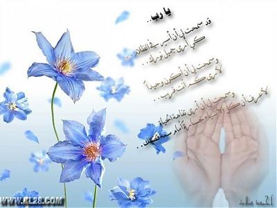 اجمل العبارات الرائعة للترحيب بالاعضاء Sigpic35736_1