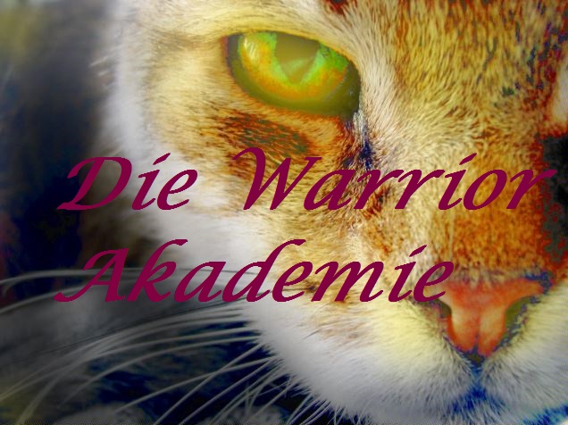 Die Warrior Akademie A_1_98c12a7a