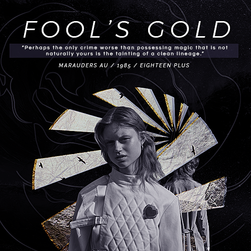 Fool's Gold [Jcink] AU Maraders | 1985 A_fool_s_gold