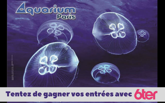 Concours pour Gagner des voyages et séjours 650x407aquarium2