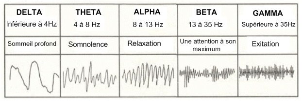 Comment passer de la matière à l'esprit en passant par la vie ? - Page 7 TPPPE