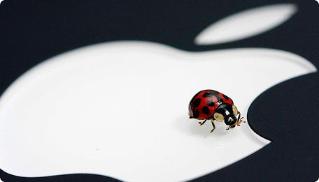 Apple bug
