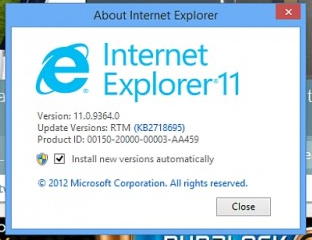 internet explorer 11