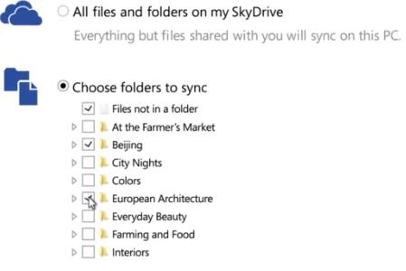 Microsoft Skydrive