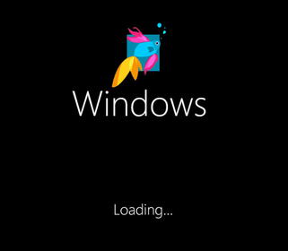 windows 8.2