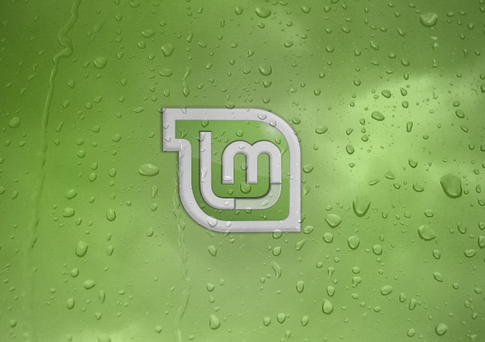 linux mint 17