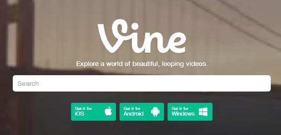 vine