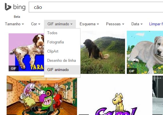 bing gif animado