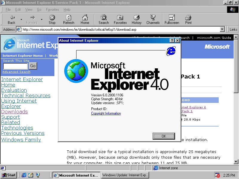 internet explorer