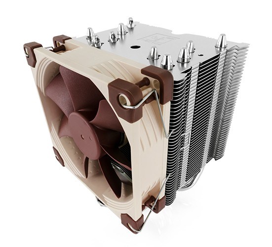 noctua