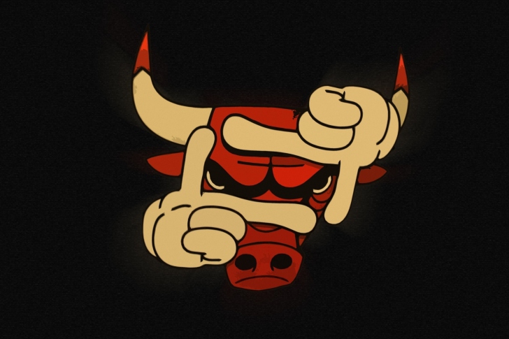 ~ The Chicago Bulls ~ Chicago-Bulls-wide-i