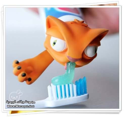 صور غريبة ومنوعة Toothpaste1
