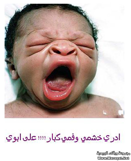 صور مواليد .. ههههه Swr-Born_17