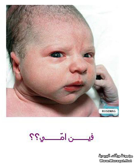 صور مواليد التقطت بعد ثواني!! Swr-Born_3