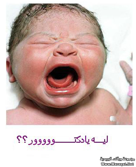 صور مواليد .. ههههه Swr-Born_9