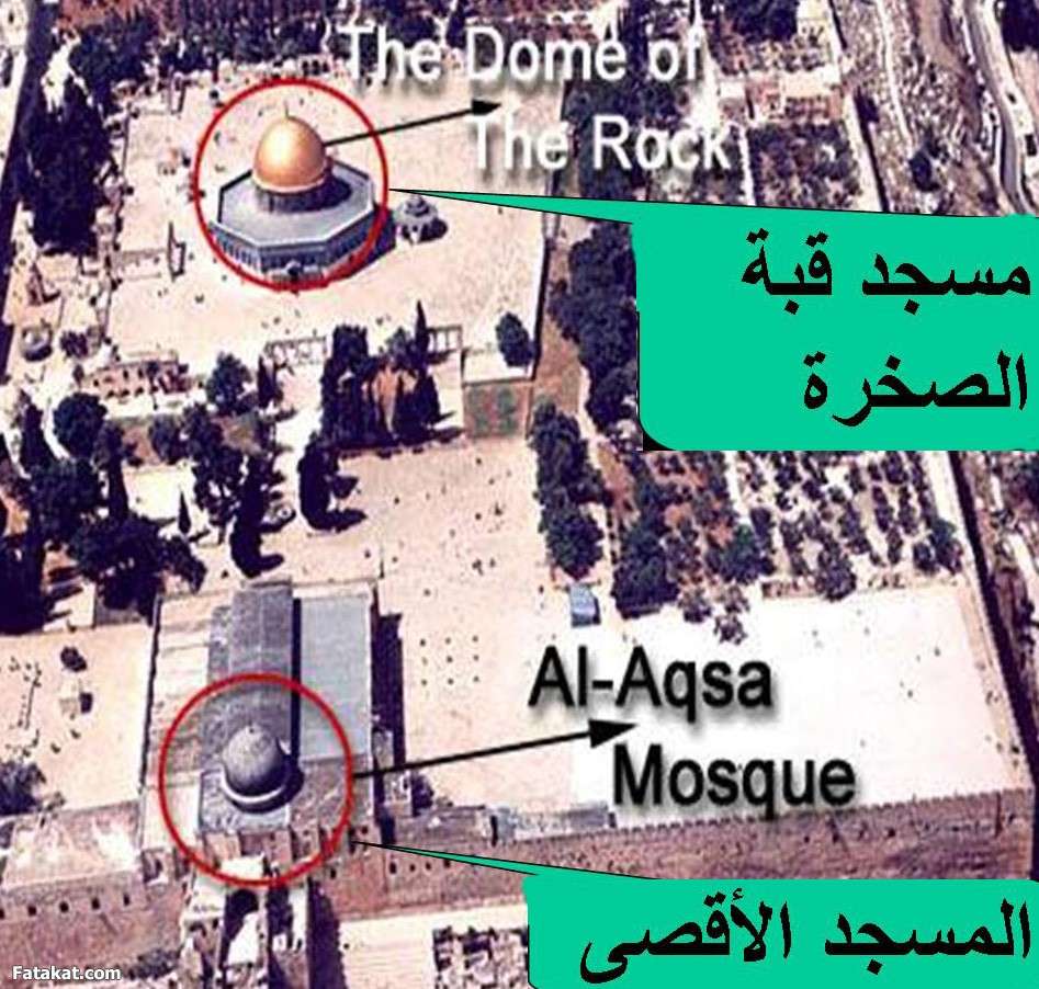خدعوك فقالوا أن المسجد الأقصى هو مسجد القبة الصفراء الذي نعرفه كلنا فقط  13145036171696