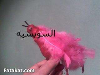 عصفورى يا عصفورى  13304625077316