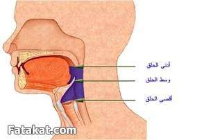 مادة القرآن والتجويد (( دفعة سودة بنت زمعة رضي الله عنها )) الترم الأول 14482626186518