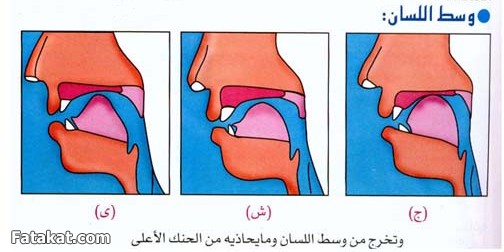 مادة القرآن والتجويد ((دفعة جويريةرضي الله عنها)) الترم الثانى 14513051234224