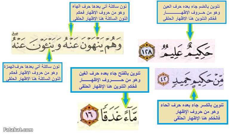 مادة القرآن والتجويد (( دفعة سودة بنت زمعة رضي الله عنها )) الترم الأول 14234887724682