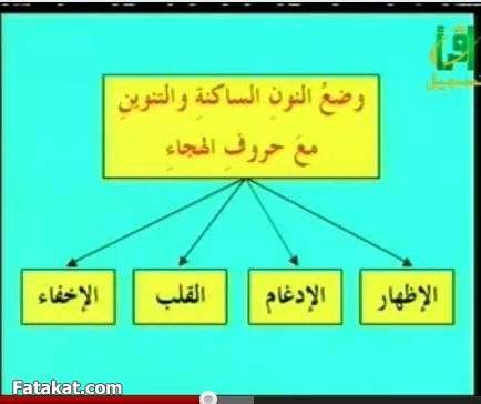 مادة القرآن والتجويد (( دفعة سودة بنت زمعة رضي الله عنها )) الترم الأول 14239823262285