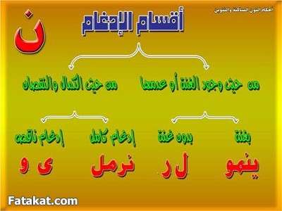 مادة القرآن والتجويد (( دفعة سودة بنت زمعة رضي الله عنها )) الترم الأول 14247251608025